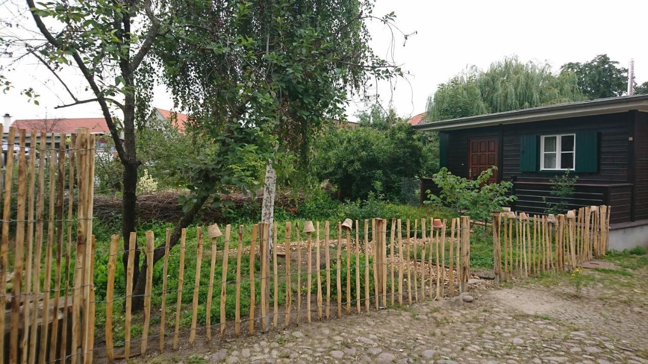 梅斯多夫Huette Mit Herz Im Harz公寓 外观 照片